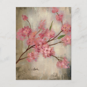 Carte Postale Fleurs de cerisier