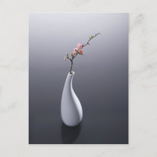 Carte Postale Fleurs de cerisier dans le vase