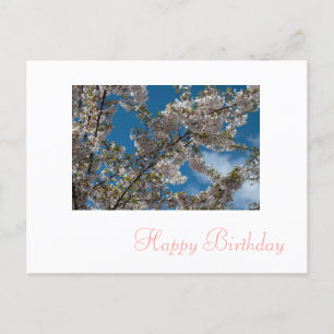 Carte Postale fleurs de cerisier rose joyeux anniversaire