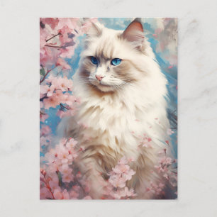 Carte Postale Fleurs de chats Birman