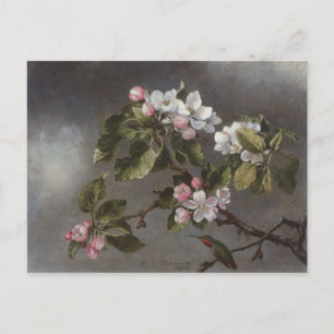Carte Postale Fleurs de colibri et de pomme Martin J. Heade