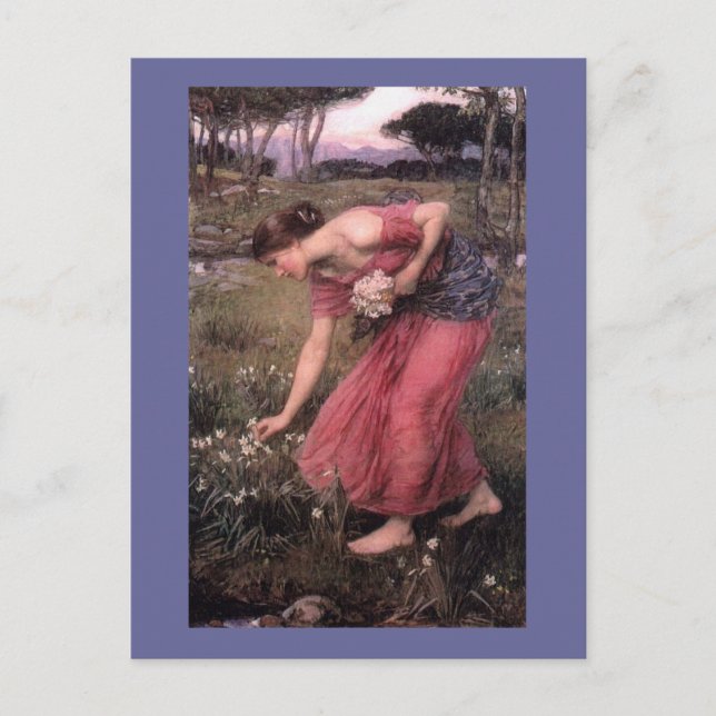 Carte Postale Fleurs de cueillette Narsissus (Devant)