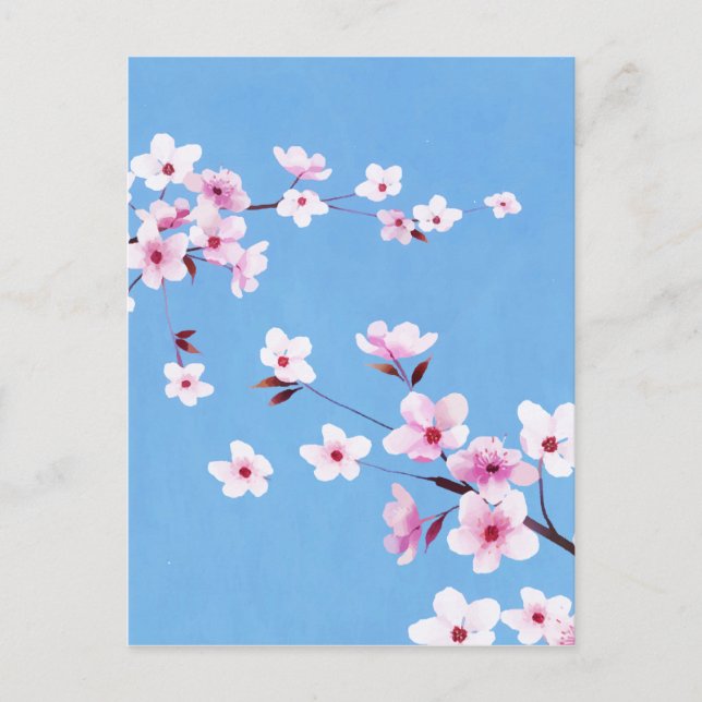Carte Postale Fleurs de fleurs de cerisier bleu printemps (Devant)
