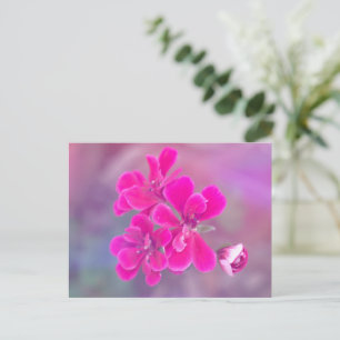 Carte postale Fleurs de géranium rose