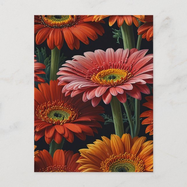 Carte Postale fleurs de gerbera (Devant)