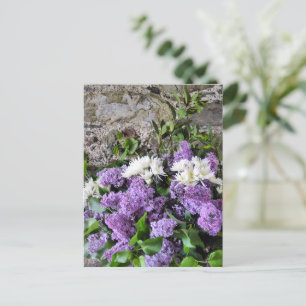 CARTE POSTALE FLEURS DE JARDIN