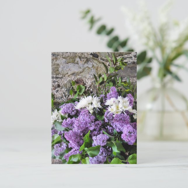 CARTE POSTALE FLEURS DE JARDIN (Debout devant)