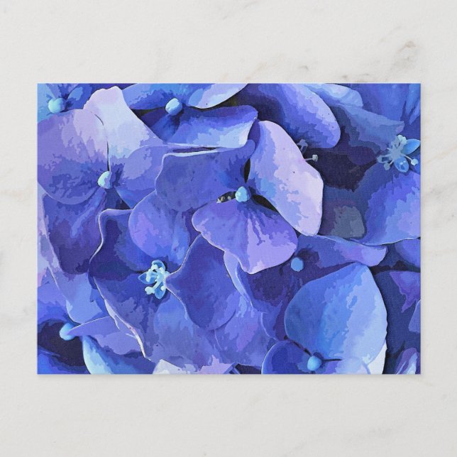 CARTE POSTALE FLEURS DE JARDIN (Devant)