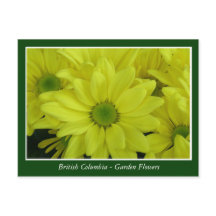 Fleurs de jardin BC