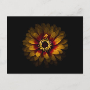 Carte Postale Fleurs de Jardin No 69 Version Couleur