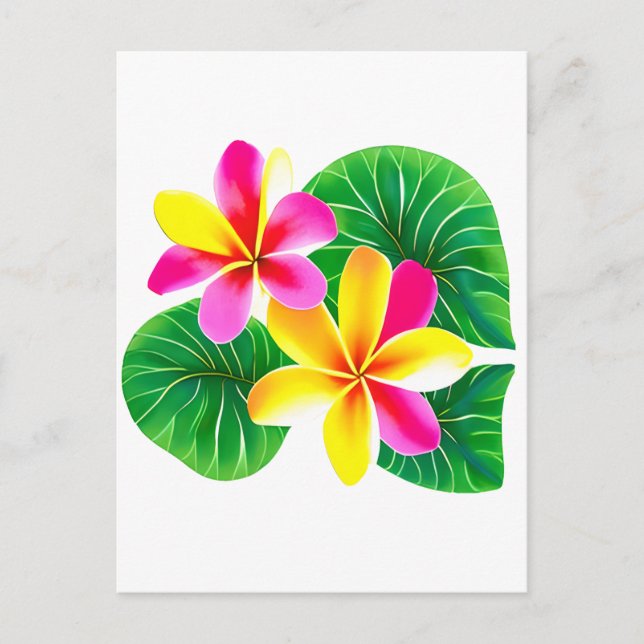 Carte Postale Fleurs de la Plumeria tropicale (Devant)