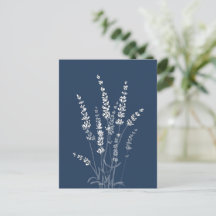 Carte postale Fleurs de lavande