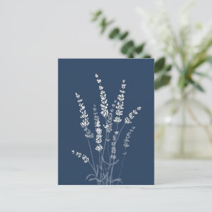 Carte postale Fleurs de lavande