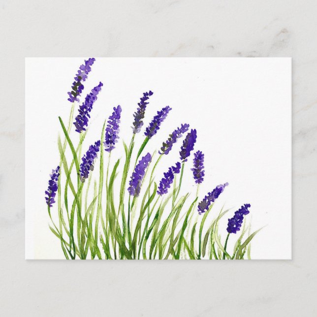 Carte Postale Fleurs de lavande aquarelle Floral rustique violet (Devant)