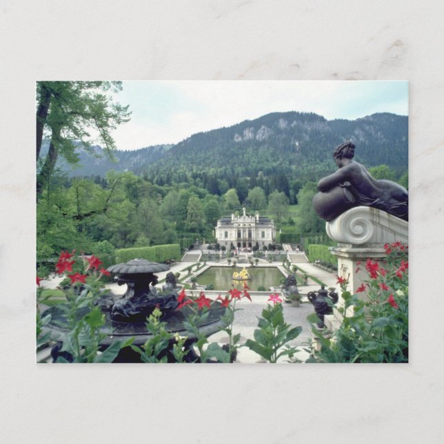 Carte Postale Fleurs de lin du château blanc (Devant)