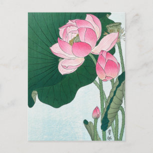 Carte Postale Fleurs de Lotus en fleurs, Koson, Art Fleur Japona