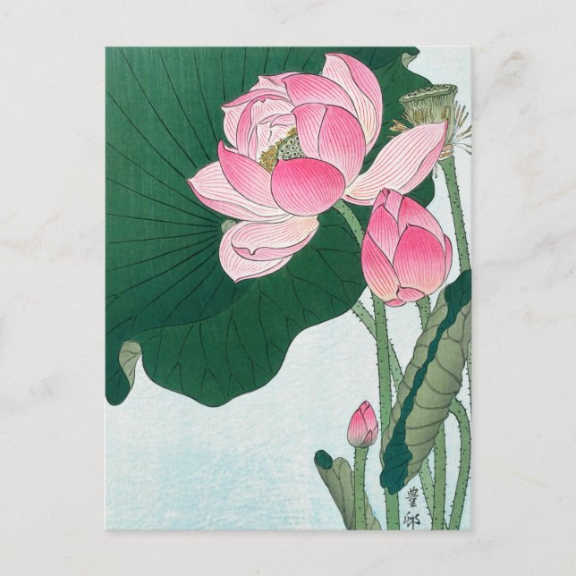 Carte Postale Fleurs de Lotus en fleurs, Koson, Art Fleur Japona (Devant)