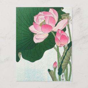 Carte Postale Fleurs de lotus en fleurs - Ohara Koson - VintageA