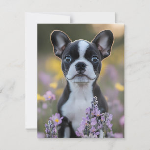 Carte Postale Fleurs de lupine de chiot de Boston Terrier