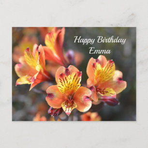 Carte Postale Fleurs de lys péruviennes au jardin RHS Wisley