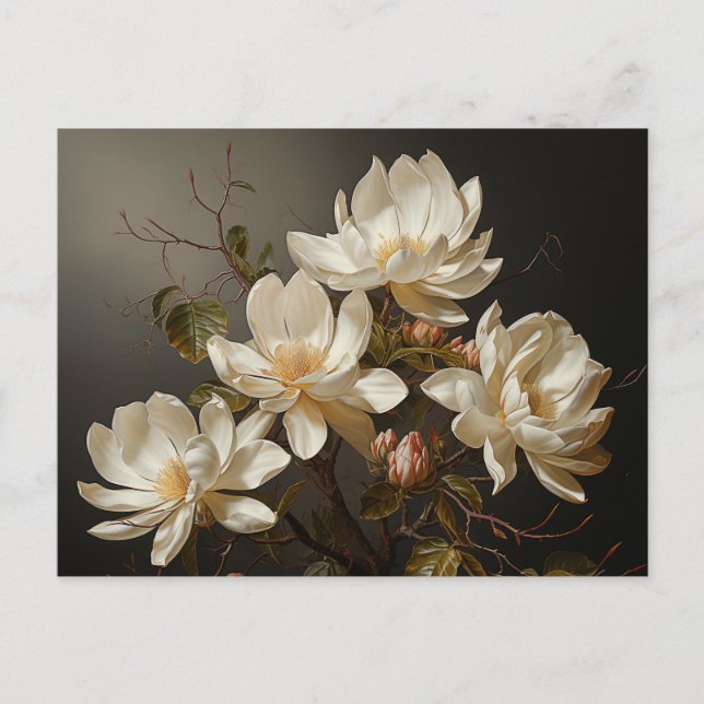 Carte Postale Fleurs de magnolia blanches (Devant)