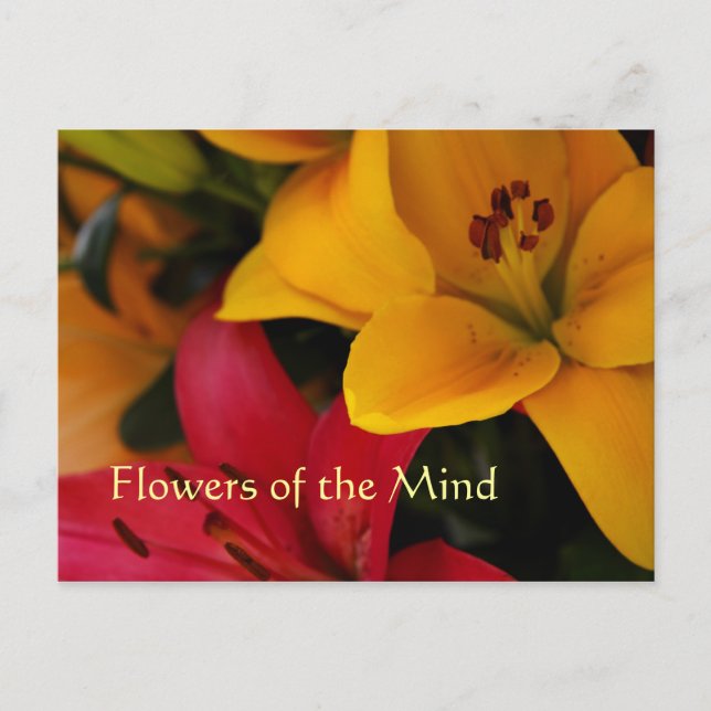 Carte Postale Fleurs de marché II (Devant)