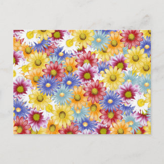 Carte Postale Fleurs de marguerite colorées  