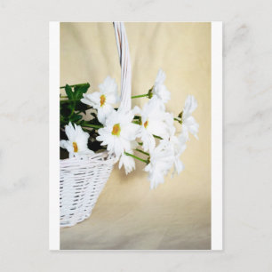 Carte Postale Fleurs de marguerite et panier en osier