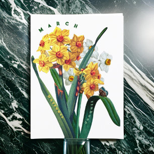 Carte Postale Fleurs de mars Jonquil Daffodil