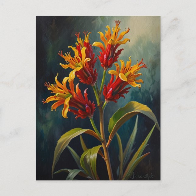 Carte Postale Fleurs de pattes Kangaroos (Devant)