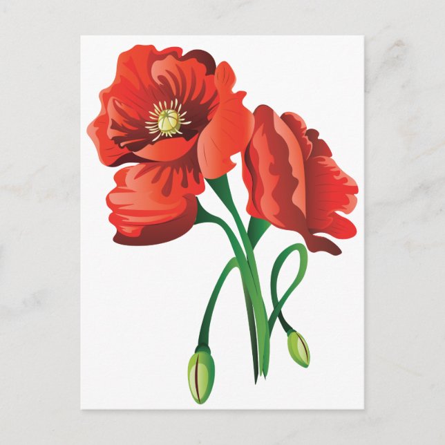 Carte Postale Fleurs de pavot rouge (Devant)