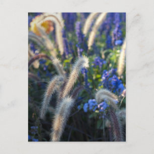 Carte Postale Fleurs de Prairie Rêveuse