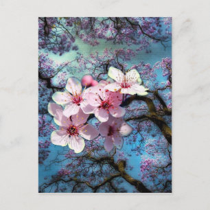Carte Postale Fleurs de printemps