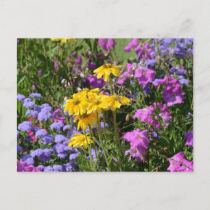 Carte Postale Fleurs de printemps