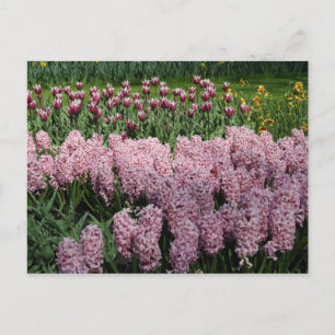 Carte Postale Fleurs de printemps