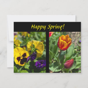 Carte Postale Fleurs de printemps
