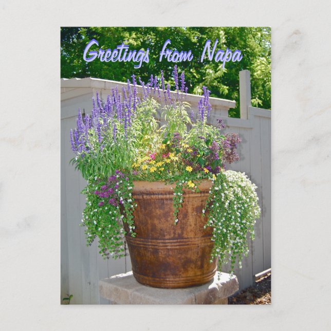 Carte Postale Fleurs de printemps Salutations de Napa (Devant)