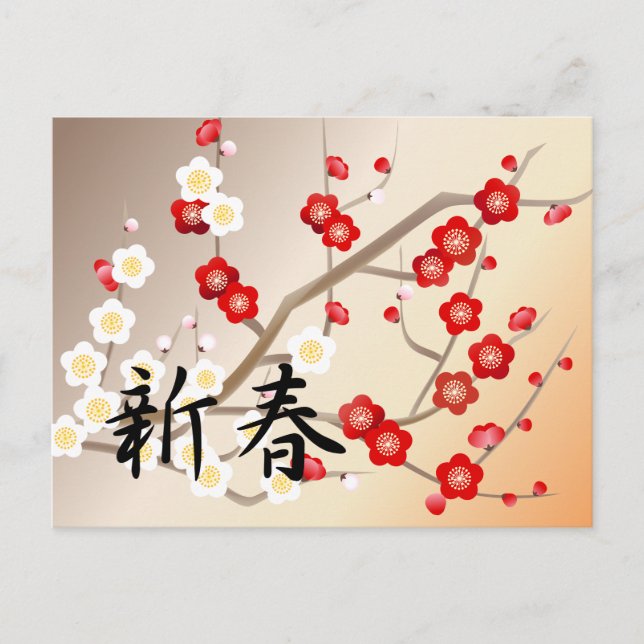 Carte postale Fleurs de prune rouge et blanche (Devant)