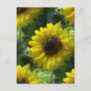 Carte Postale Fleurs de soleil