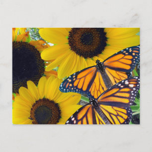 Carte Postale Fleurs de soleil et papillons monarques
