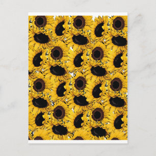 Carte Postale fleurs de soleil pétales nagent plongent marine na