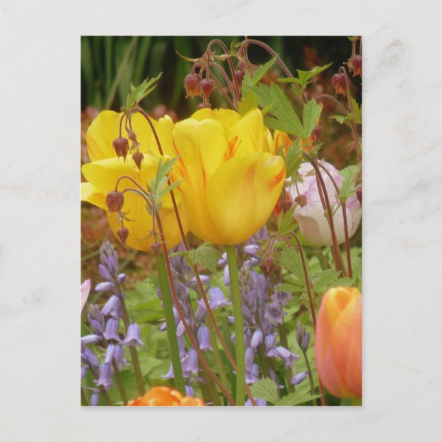 Carte Postale Fleurs De Tendances (Devant)