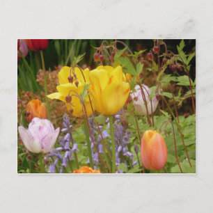 Carte Postale Fleurs De Tendances