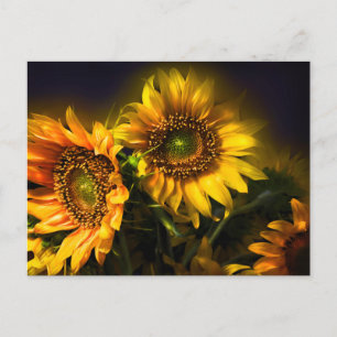 Carte Postale Fleurs de tournesol Jaune Florale, Amour, Merci