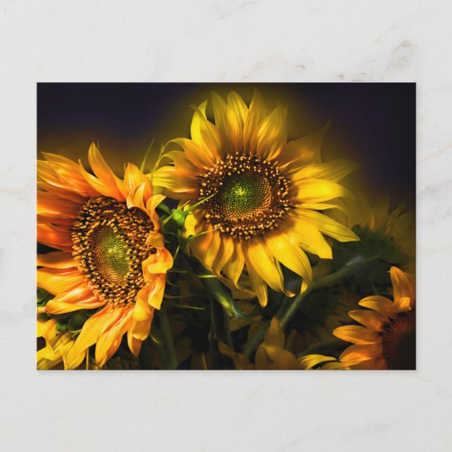 Carte Postale Fleurs de tournesol Jaune Florale, Amour, Merci (Devant)