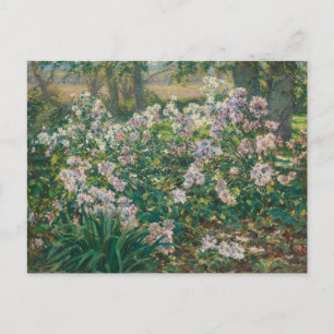 Carte Postale Fleurs de vent par Ruger Donoho Fleur sauvage de p