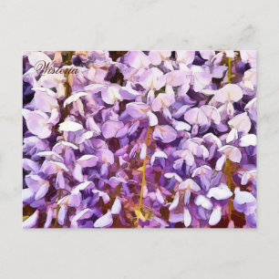 CARTE POSTALE FLEURS DE WISTERIA