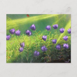 Carte Postale Fleurs d'été