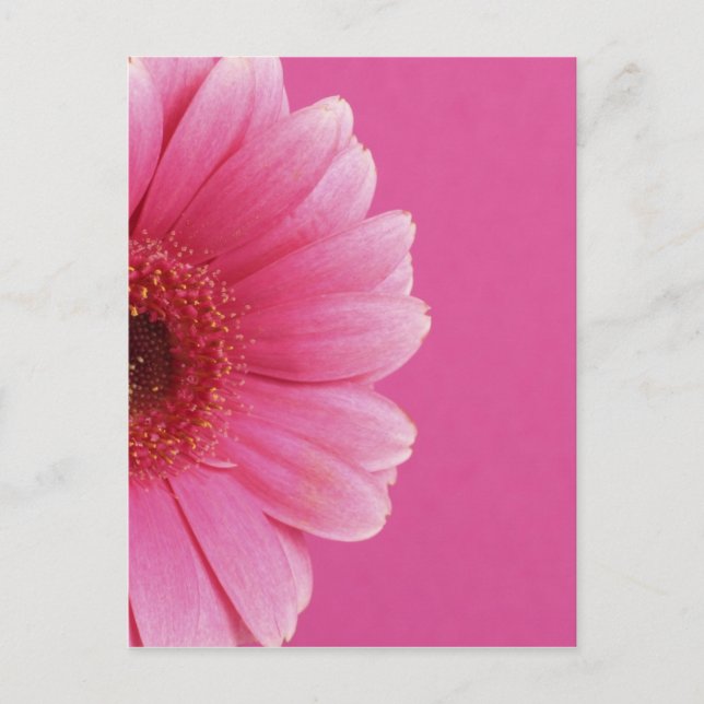 Carte Postale Fleurs d'été (Devant)