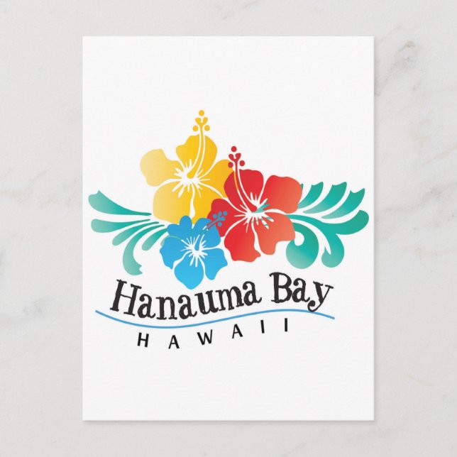 Carte Postale Fleurs d'Hibiscus d'Hawaï (Devant)